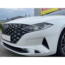 더 뉴 그랜저IG 3.0 LPG 프리미엄
